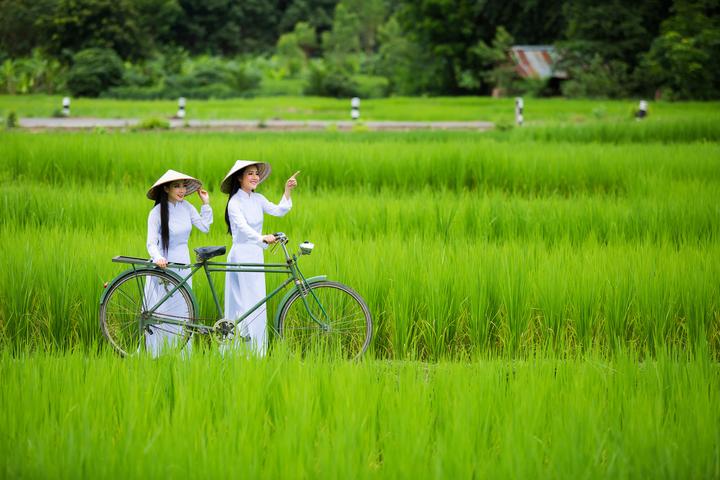 Hotspot Matrix: Biến Phương Oanh diện set đồ 50 thành cơ hội marketing đột phá