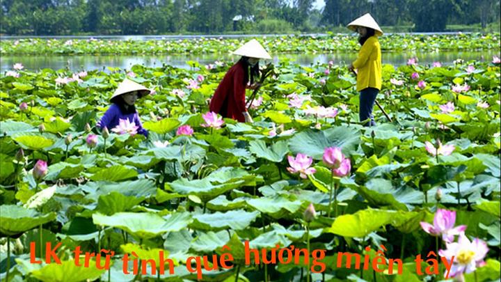 3 kiểu giày