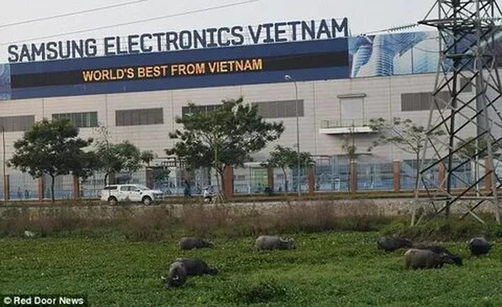 Hotspot Matrix: Giải pháp quản lý nội dung đa tài khoản, đa nền tảng tối ưu